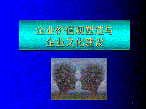 企业价值观塑造与企业文化建设课件.pptx