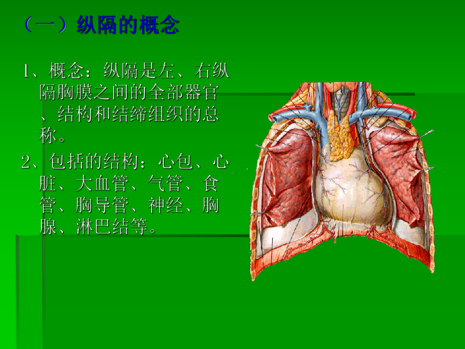 纵隔解剖及常见纵隔肿瘤影像学诊断课件.ppt_第3页