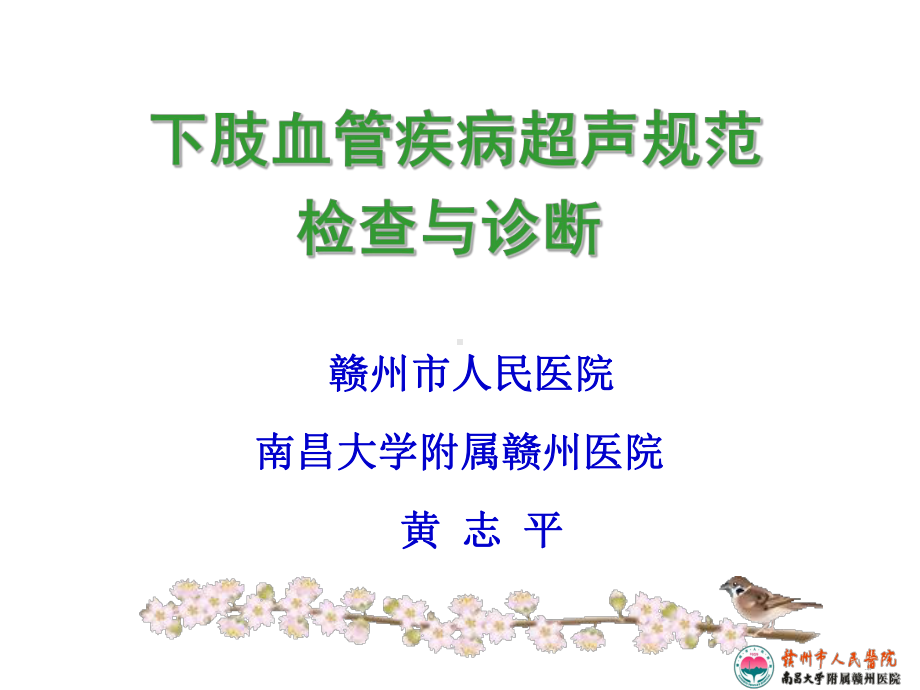 肢血管超声规范检查与诊断课件.ppt_第1页