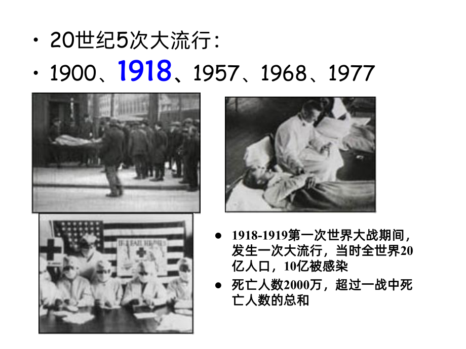 第十章流感病毒课件.ppt_第3页