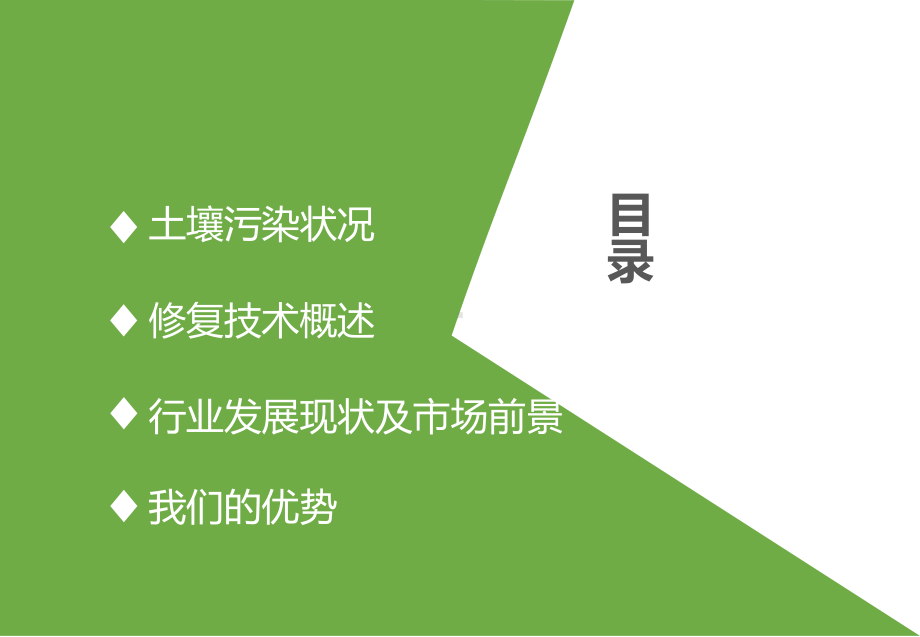 土壤污染与修复技术教材课件.ppt_第2页