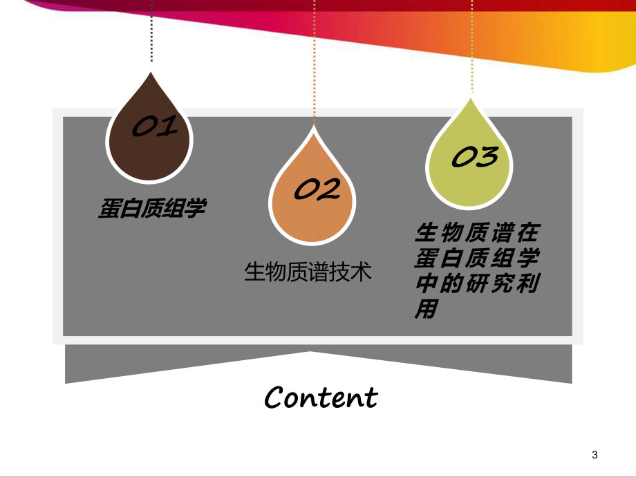 基于质谱分析的蛋白质组学-课件.ppt_第3页