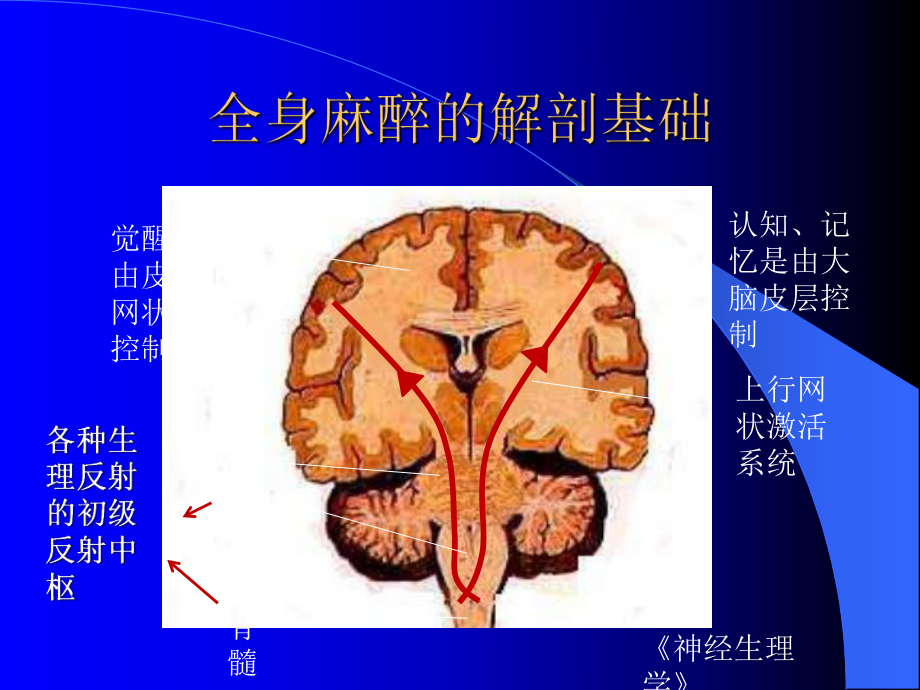 麻醉诱导的合理用药课件.ppt_第2页