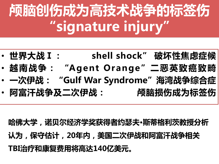 脑爆震伤研究学习课件.pptx_第3页