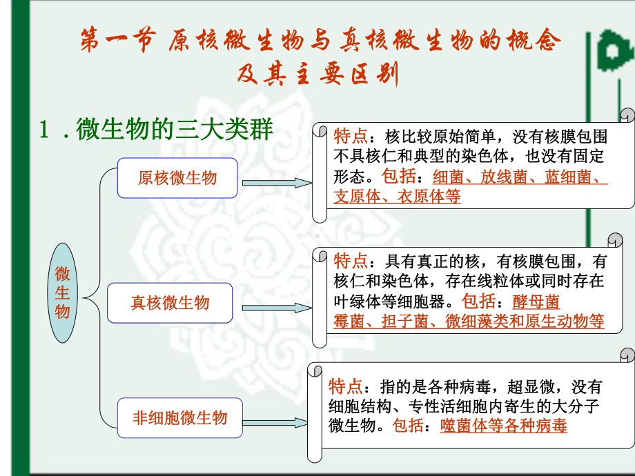 微生物主要类群及其形态与结构课件.pptx_第3页