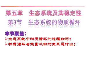 高中生物(人教版必修3)第五章同步教学课件53-生态系统的物质循环-.ppt