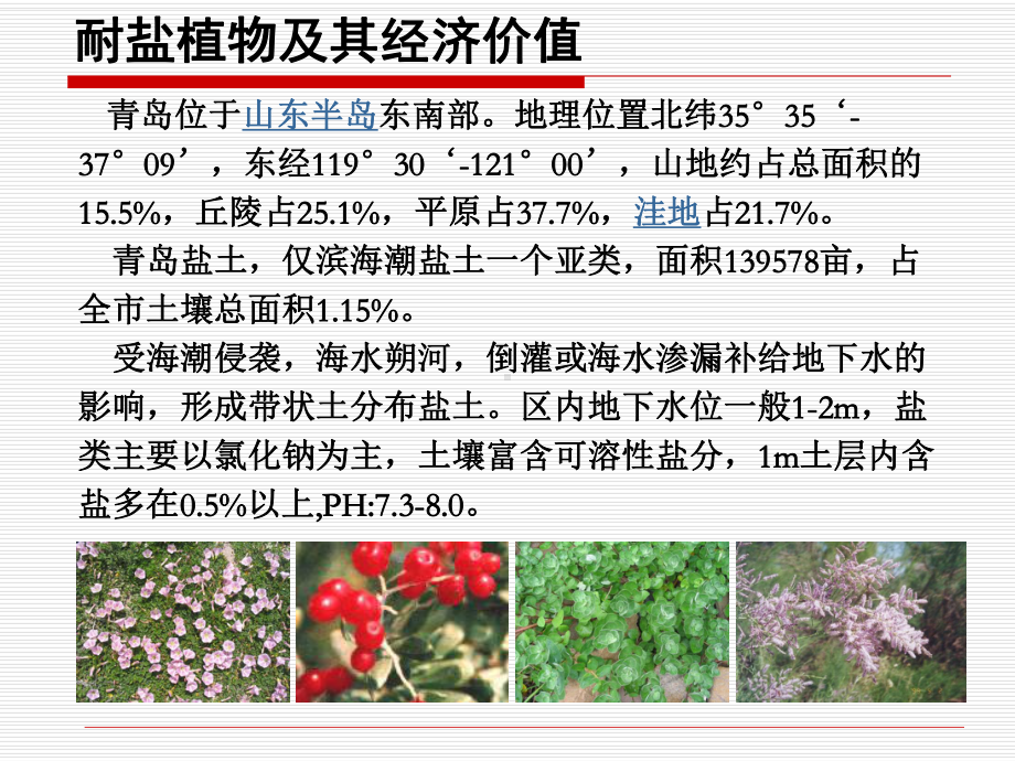 耐盐碱植物汇总表课件.ppt_第1页