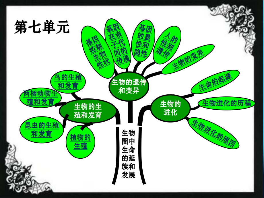 八年级生物下册总复习课件.pptx_第1页