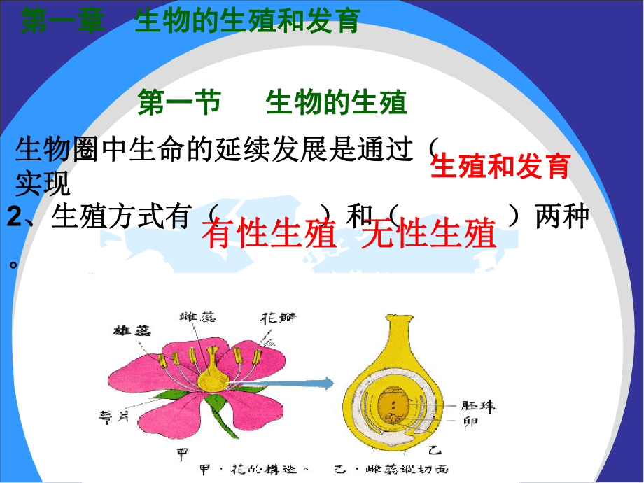 八年级生物下册总复习课件.pptx_第2页