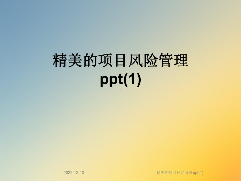 精美的项目风险管理课件1.ppt_第1页