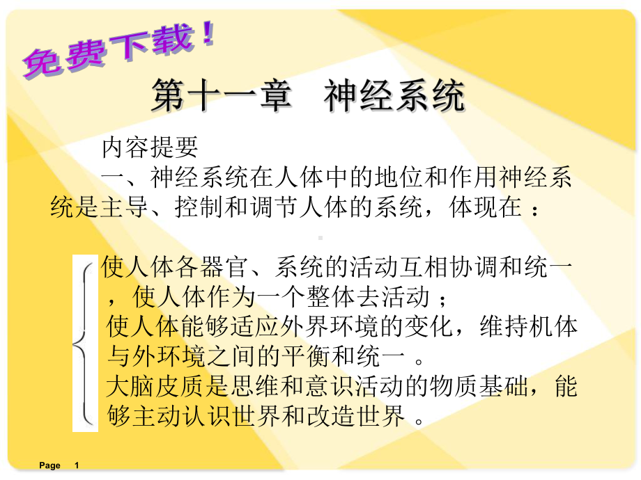 解剖学：-神经系统摘要课件.ppt_第1页