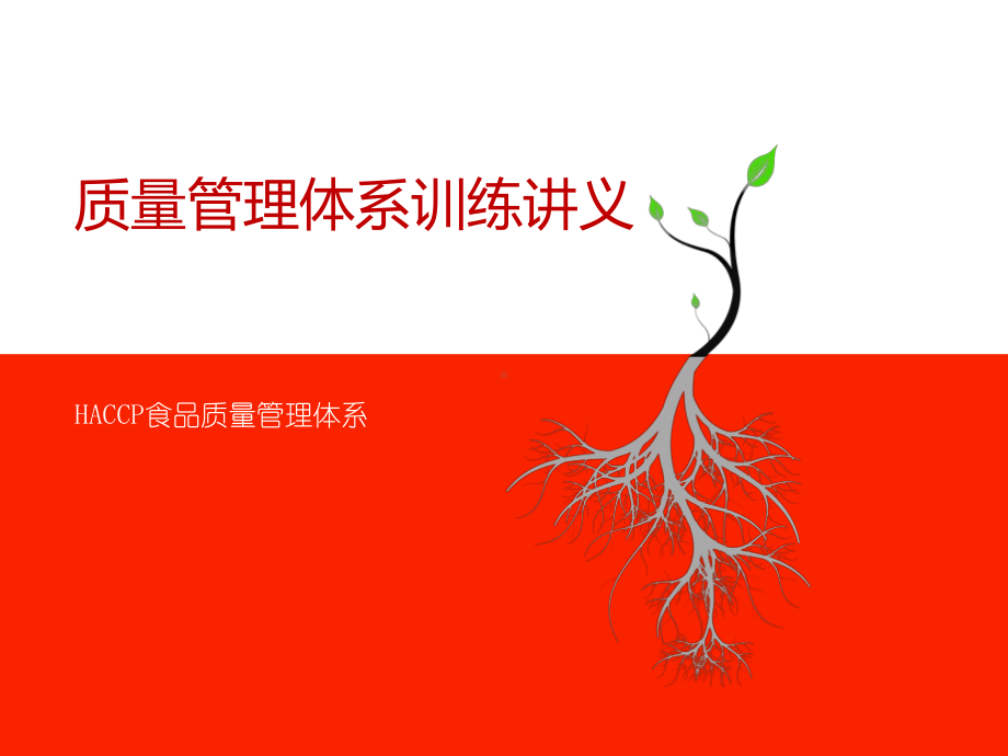 质量管理体系训练讲义课件.ppt_第1页