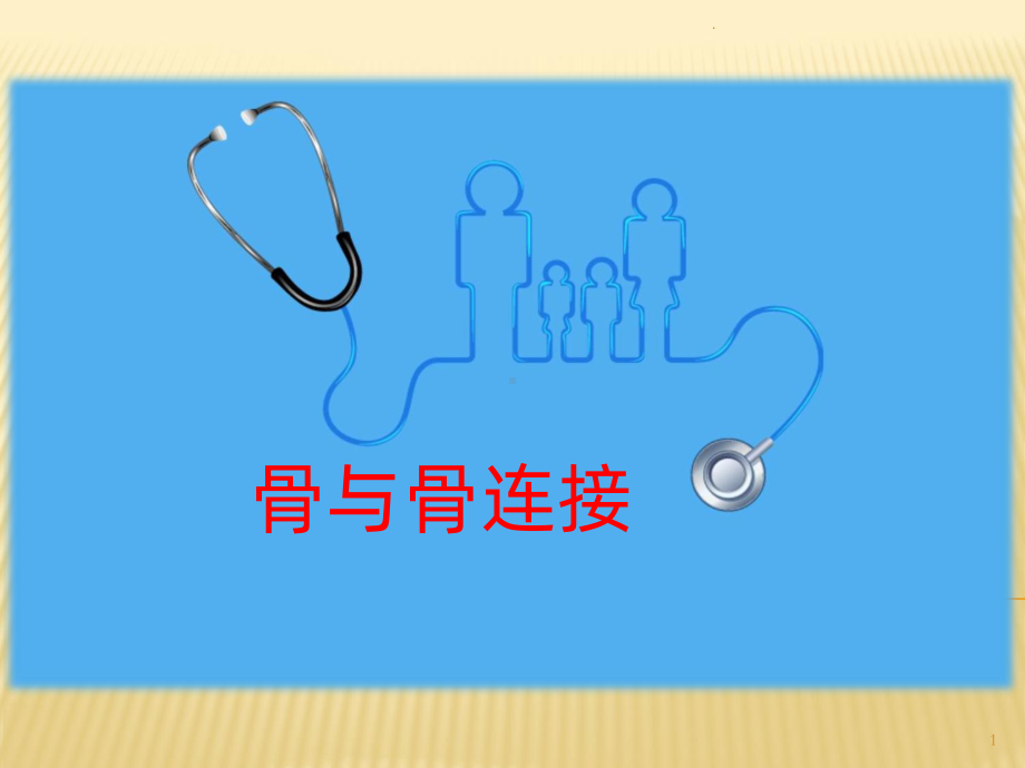 骨与骨连接课件.ppt_第1页