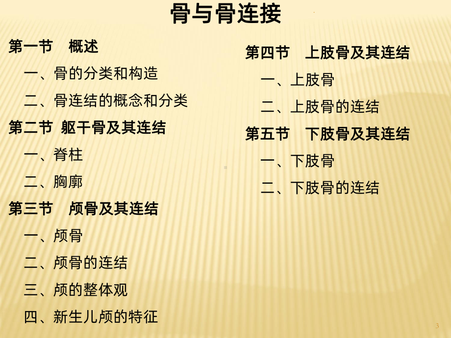 骨与骨连接课件.ppt_第3页