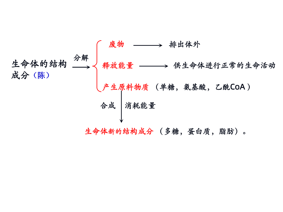 物质代谢的联系与调节im课件.ppt_第3页