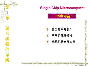 （大学课件）单片机硬件系统.ppt