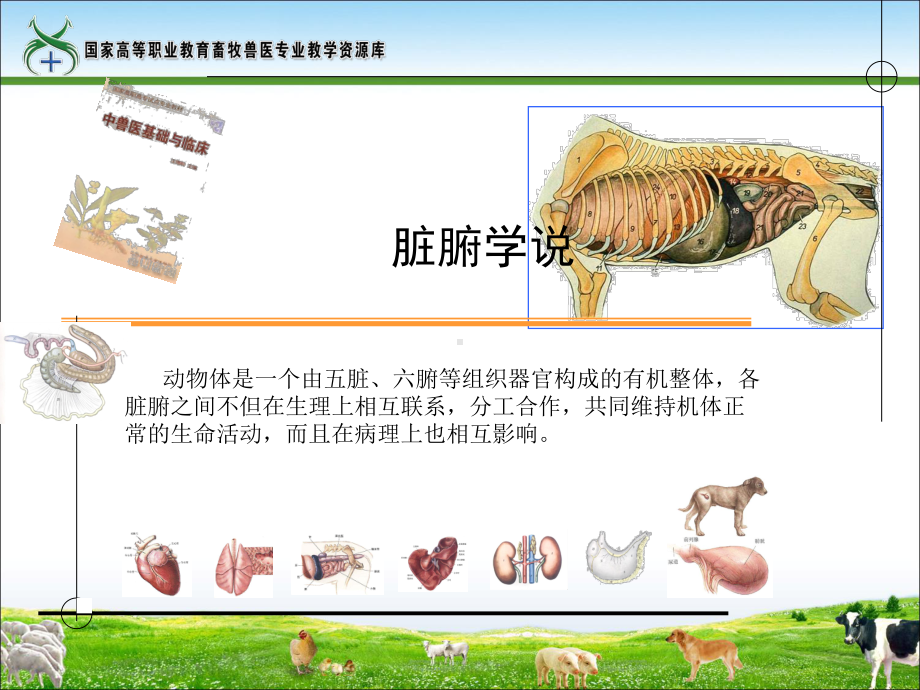 任务4脏腑之间的关系重点课件.ppt_第2页