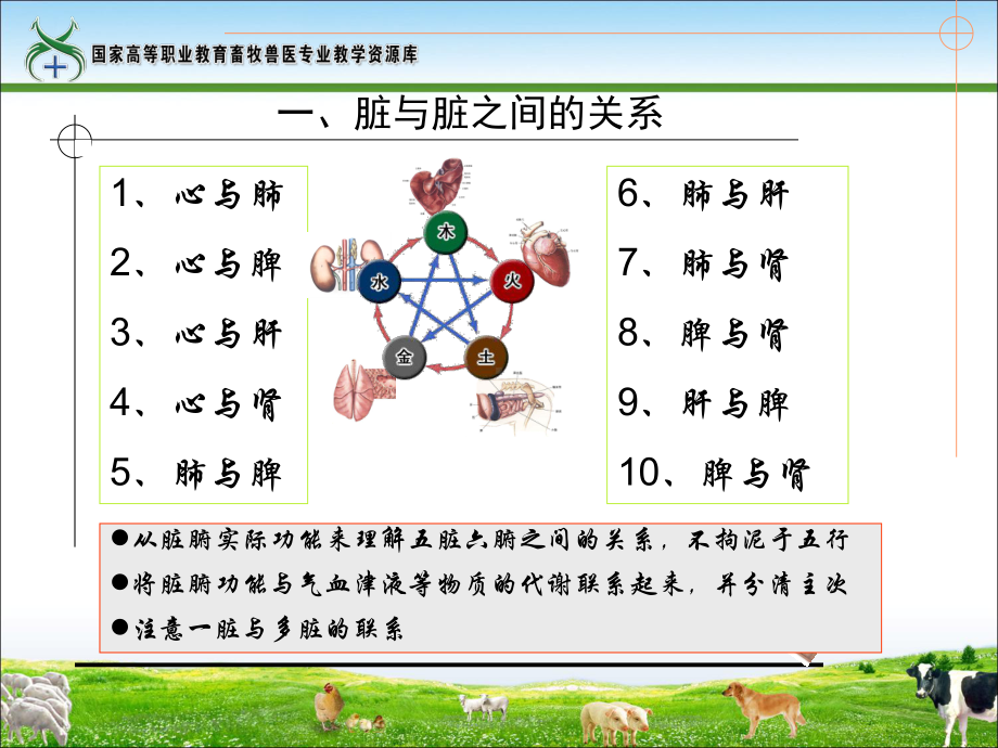 任务4脏腑之间的关系重点课件.ppt_第3页