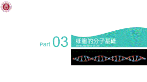 医学-细胞生物学-细胞的分子基础-公开课课件.pptx