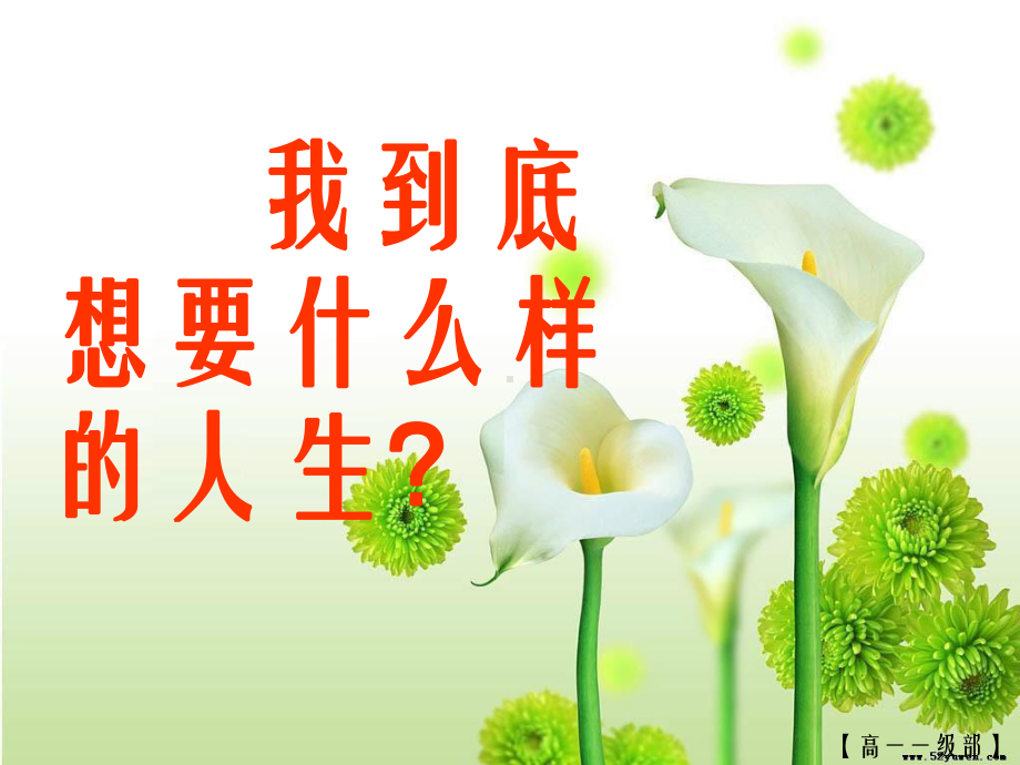 《主题班会目标》课件.ppt_第3页