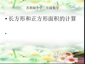 长方形和正方形的面积计算课件.ppt