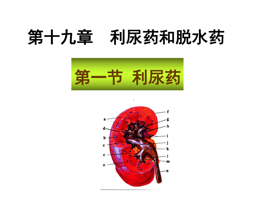 药理--利尿药与脱水药-课件.ppt_第1页