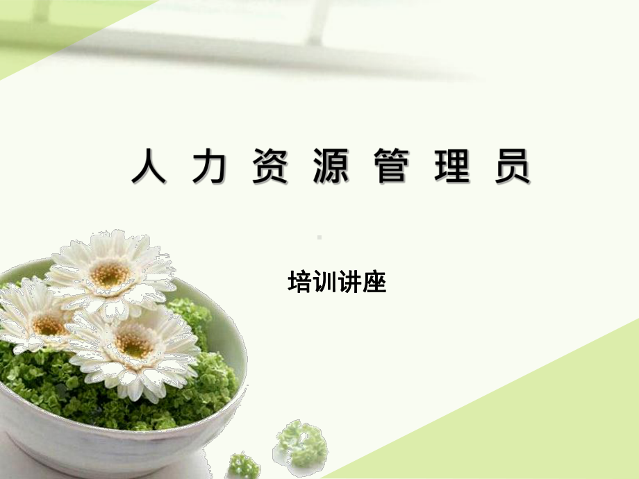 四级人力资源薪酬管理课件.ppt_第1页