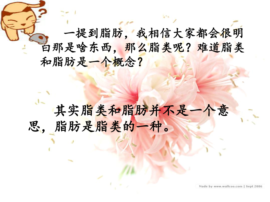 脂类的组成和分类课件.ppt_第2页