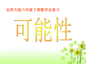 北师大版六年级数学下册《可能性》课件.ppt