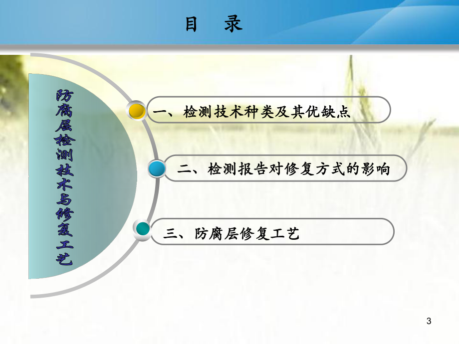 场站地下管道外防腐层检测技术与修复工艺-课件.ppt_第3页