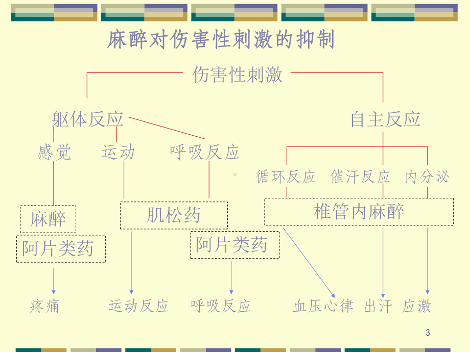 全身麻醉深度的监测(判断)及其进展课件.ppt_第3页