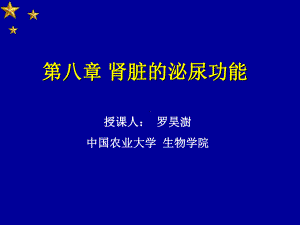 《生理学》第八章肾脏的功能课件-资料.ppt