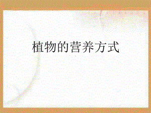 植物的营养方式PPT课件.ppt