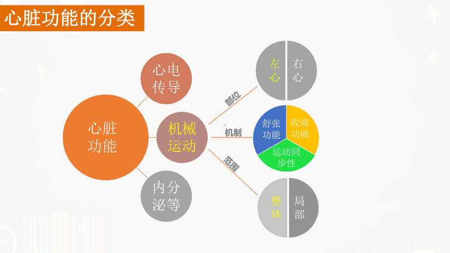 心脏功能的超声心动图评估-课件.pptx_第2页