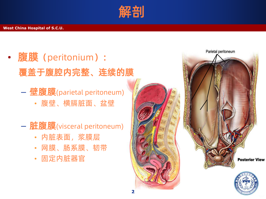 《系统整合临床医学-四川大学》急性化脓性腹膜炎阑尾炎-杨烈课件.ppt_第2页