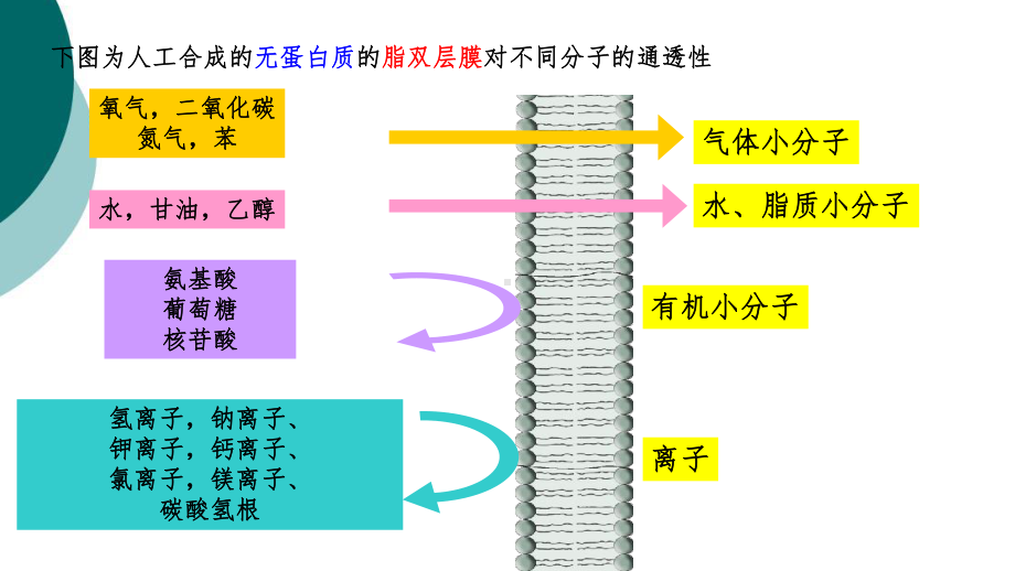 物质跨膜运输的方式-课件3.ppt_第2页