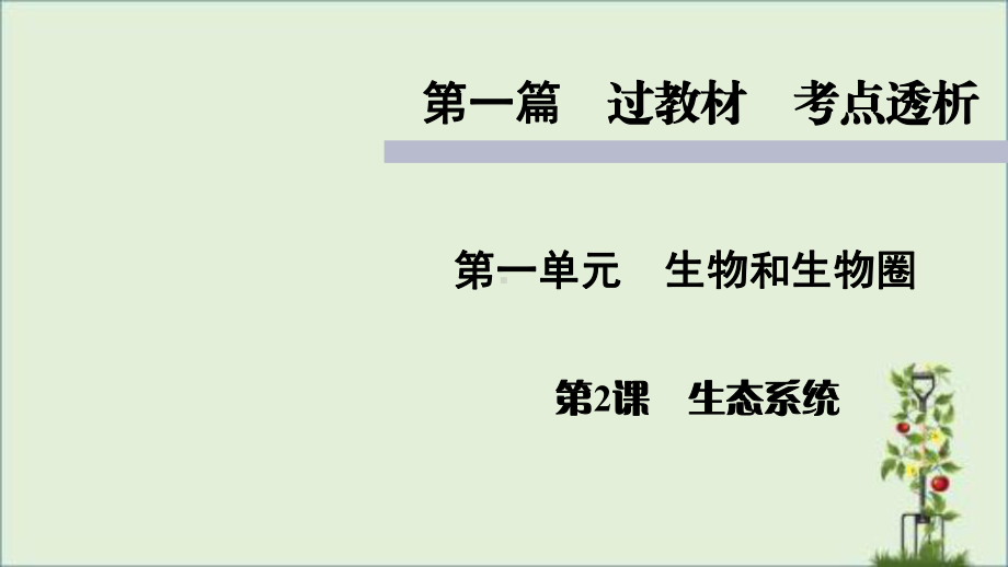 人教版七年级上册生物知识点精讲课件.pptx_第1页