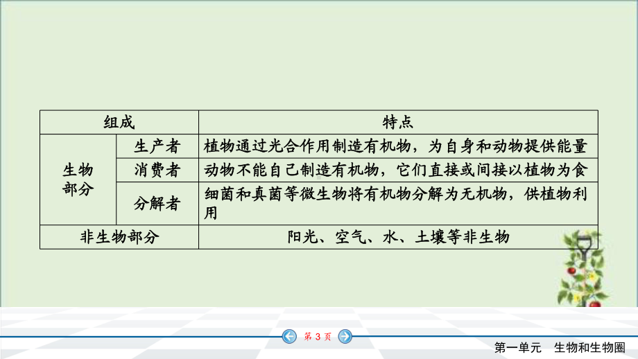 人教版七年级上册生物知识点精讲课件.pptx_第3页