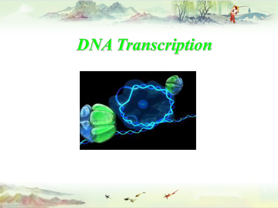 DNA-transcription&生物化学讲义课件.pptx_第1页