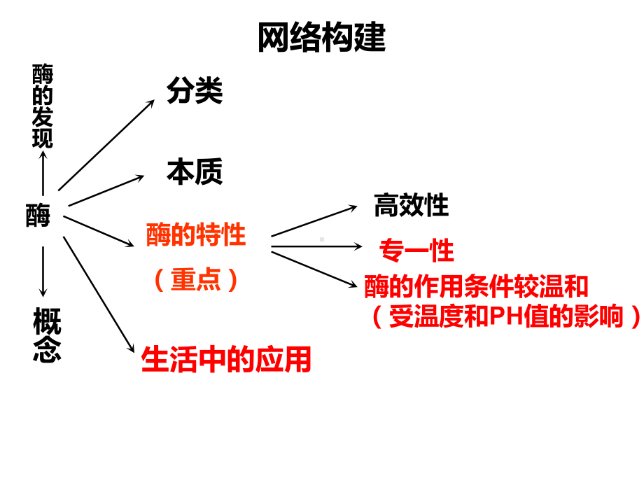 高三复习《降低化学反应活化能的酶》优秀课件.ppt_第2页