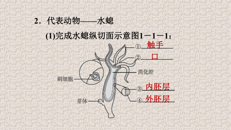 人教版八年级生物上册第五单元第一章习题课件(一).pptx_第3页