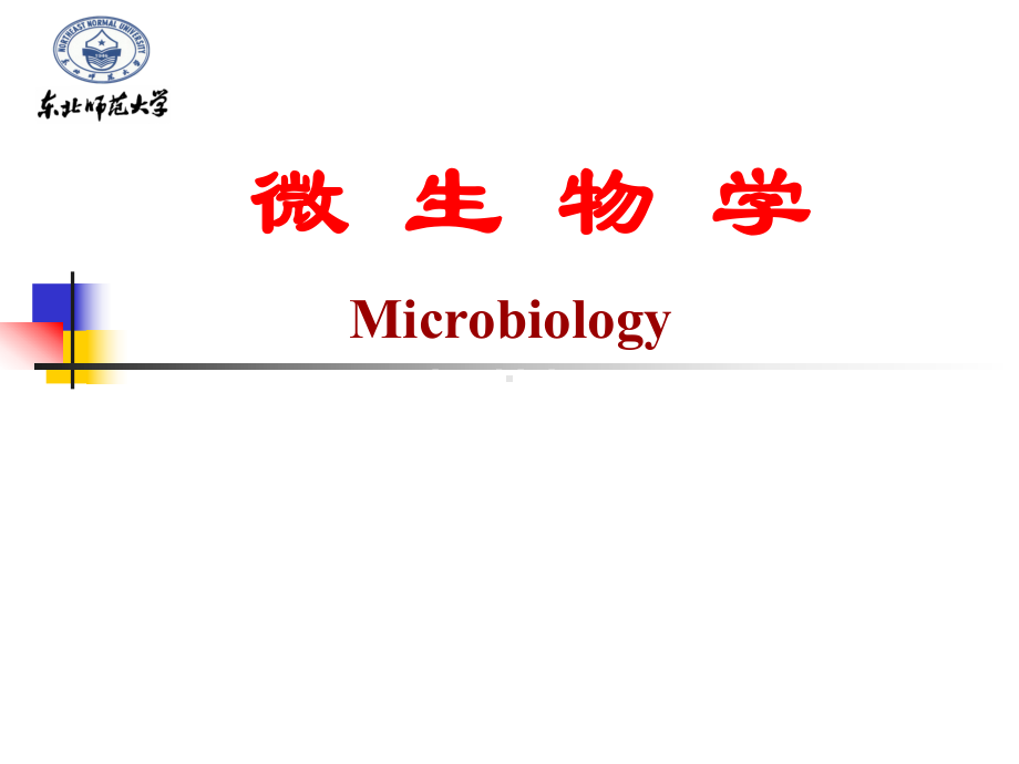 高中生物-微生物学课件.ppt_第1页