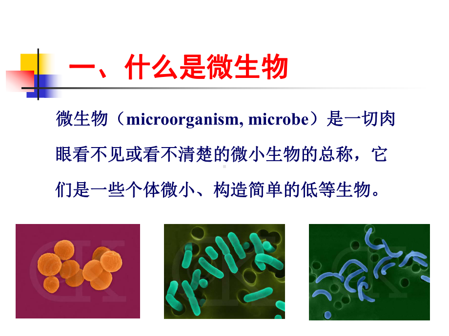 高中生物-微生物学课件.ppt_第3页