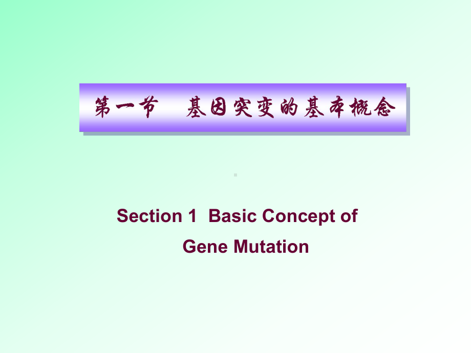 分子生物学：基因突变2-研究生课件知识讲解.ppt_第2页