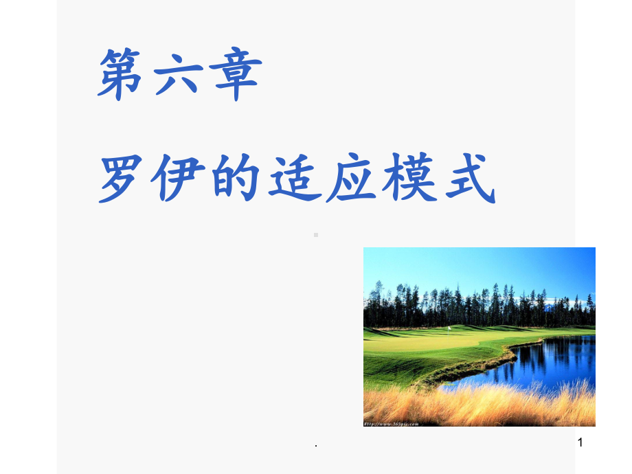 罗伊的适应模式课件.ppt_第1页