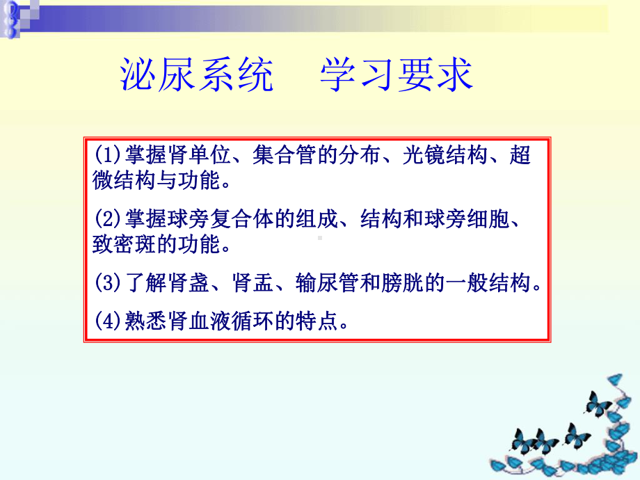 组织胚胎学之泌尿系统课件.ppt_第2页