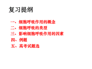 呼吸作用(专题复习)(课件).ppt