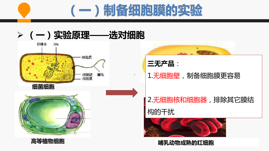 人教版高中生物必修1课件：31细胞膜-系统的边界公开课优质课件.ppt_第3页