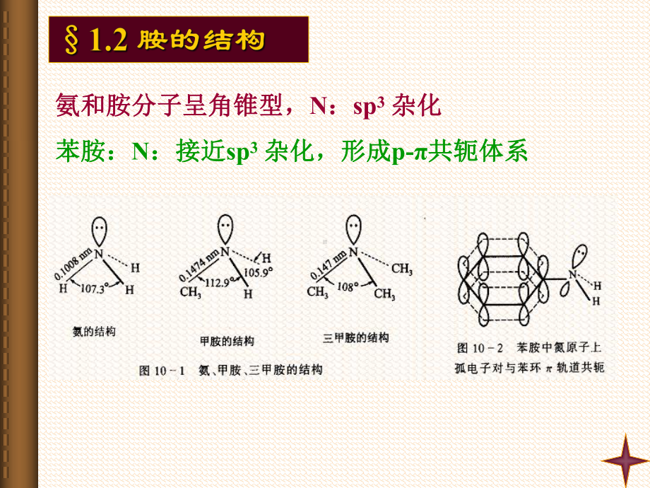 大学有机化学胺与酰胺课件.pptx_第3页