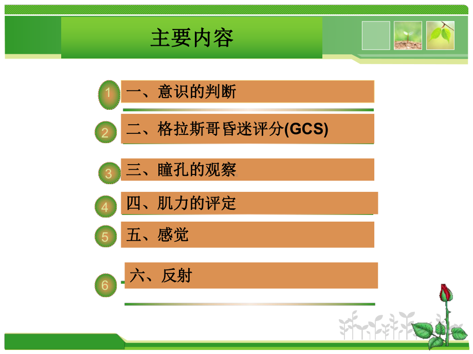 颅脑外伤护理体检及异常体征课件.ppt_第2页